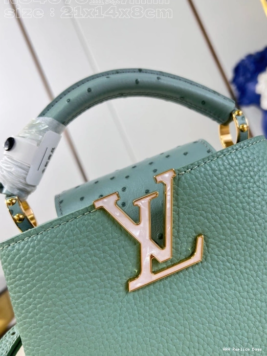 Aaa replica ru LOUIS VUITTON MINI-22*12*8CM CAPUCINES 0713